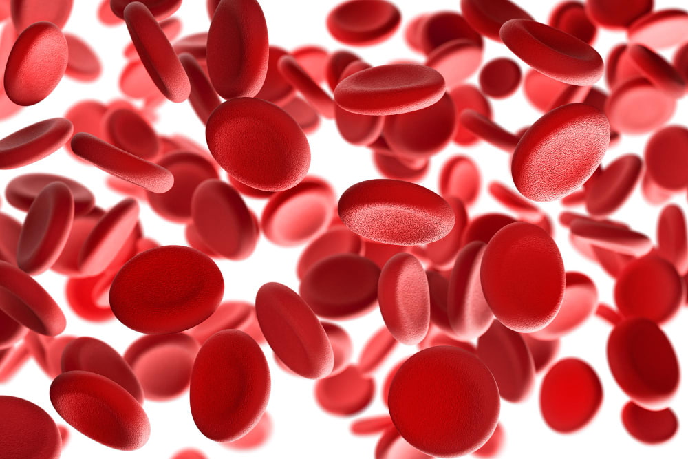 red-blood-cells-on-a-white-background-scientific-and-medical-concept-3d-render-min.jpg