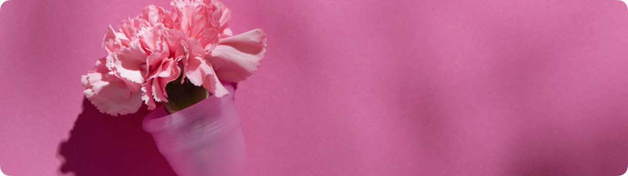 DYSIS-кольпоскопия