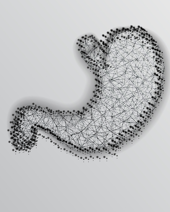 Гастроэнтерология