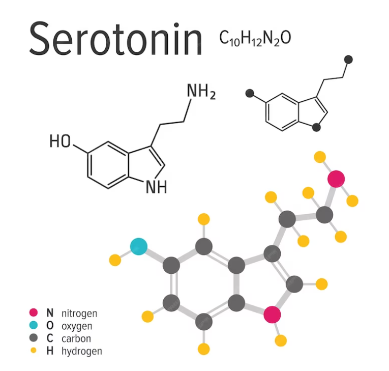 Серотонин- не только гормон радости!
