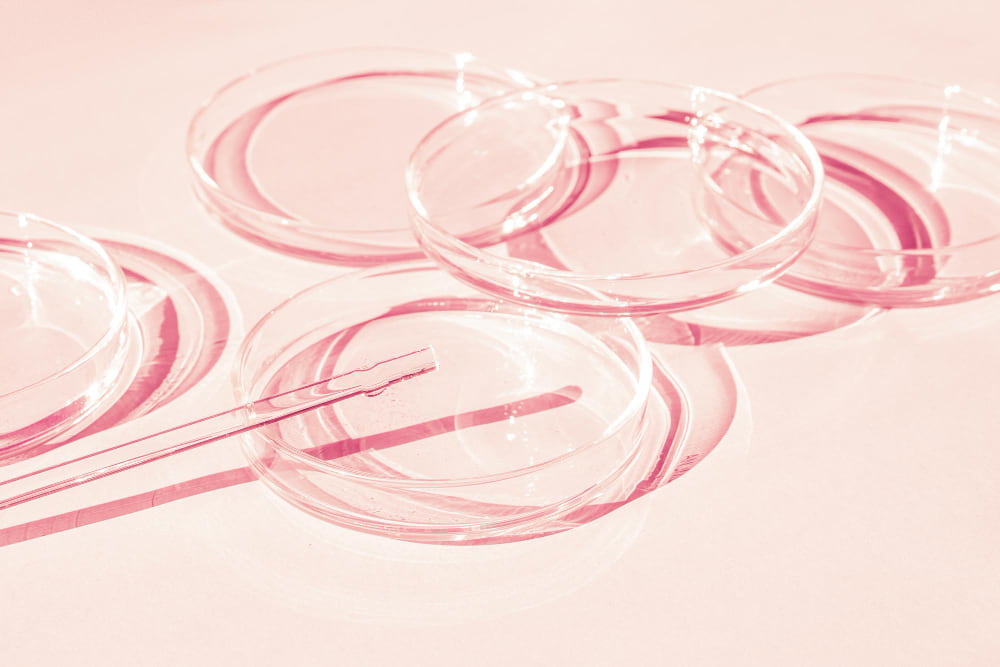 petri-dish-a-set-of-petri-cups-a-pipette-glass-tube-on-a-pink-background-min.jpg